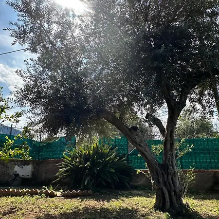 Casa Portella Tatil Evi