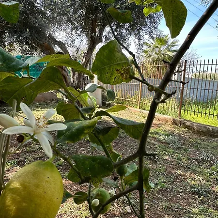 Tatil Evi Casa Portella